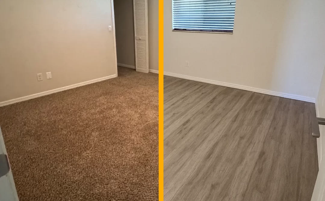 Carpet (1)